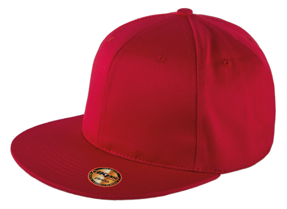 Gorra Plana #270 - Vista 4